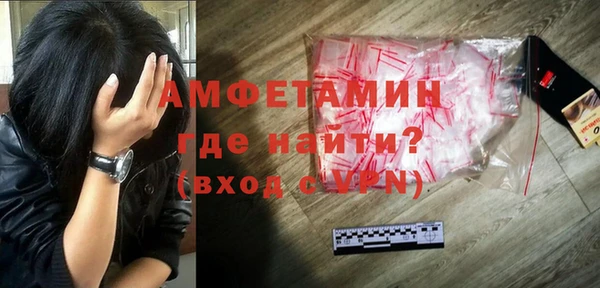 стаф Гусь-Хрустальный