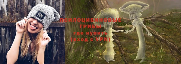 стаф Гусь-Хрустальный
