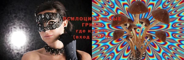 молекула духа Горнозаводск