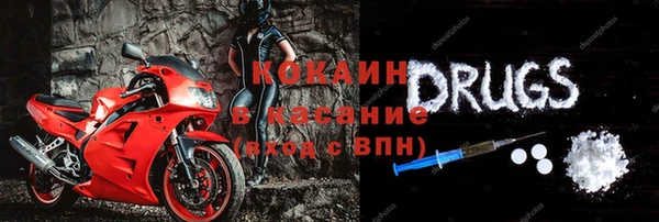 мяу мяу мука Гусев